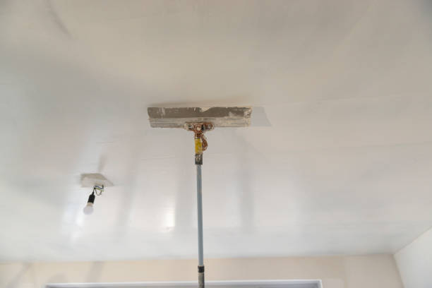 Popcorn ceiling removal